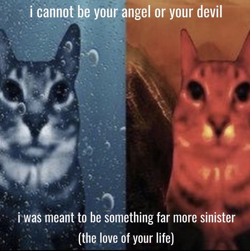 ☪︎ * 𝐒𝐆𝐓 ．︎𝐰𝔢𝐯𝐞𝐫 .ᐟ (@pussiedout) on Twitter photo 