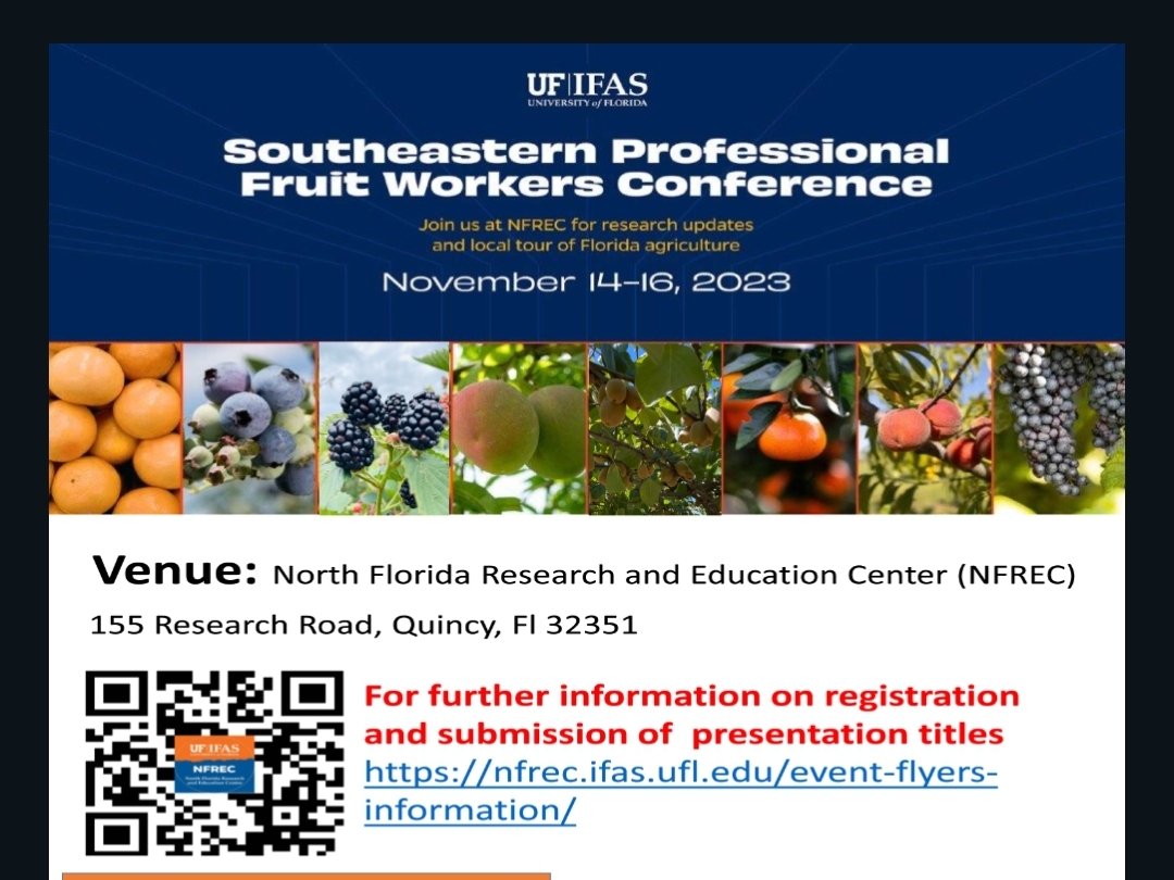 Junaed__ tweet media