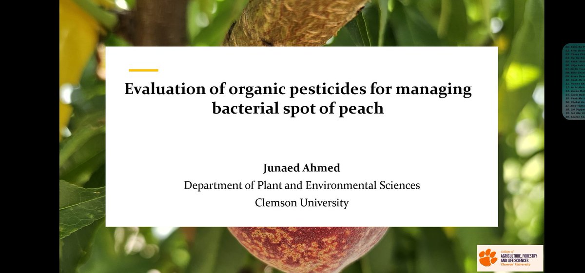 Junaed__ tweet media