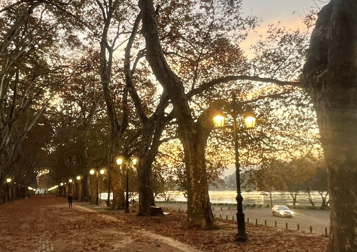 avenida dos plátanos 🤝 outono