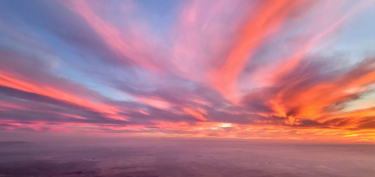 🚨Academic #Job Alert!!! 🚨The Department of Psychology at <a href="/WSUPullman/">WSU Pullman</a> is hiring a Career Track (i.e., teaching-focused) faculty member at the rank of Scholarly Assistant Professor. Applications close on January 15, 2024. Please share widely!! wsu.wd5.myworkdayjobs.com/en-US/WSU_Jobs…