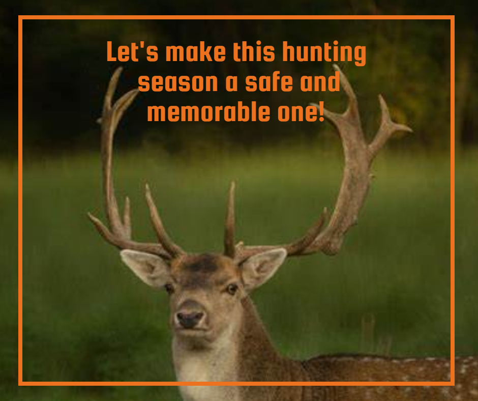 CBS Squared, Inc. tweet media