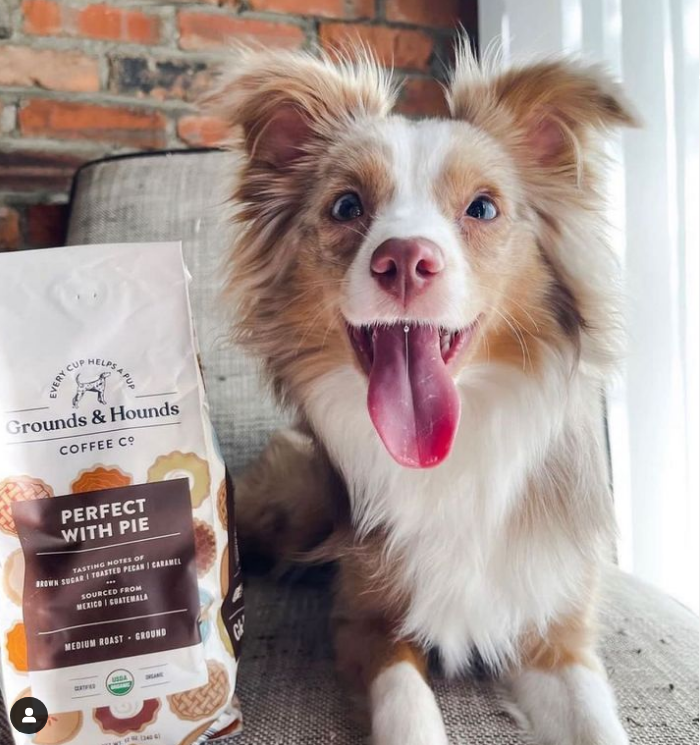 GroundsandHoun1's tweet photo. Favorite coffee. Favorite time of year. Life is good. πΆβοΈπ₯§#perfectwithpie π·: @maple_the_mini_ https://t.co/tpOoEHOMzf https://t.co/7OIOqa6Dcg