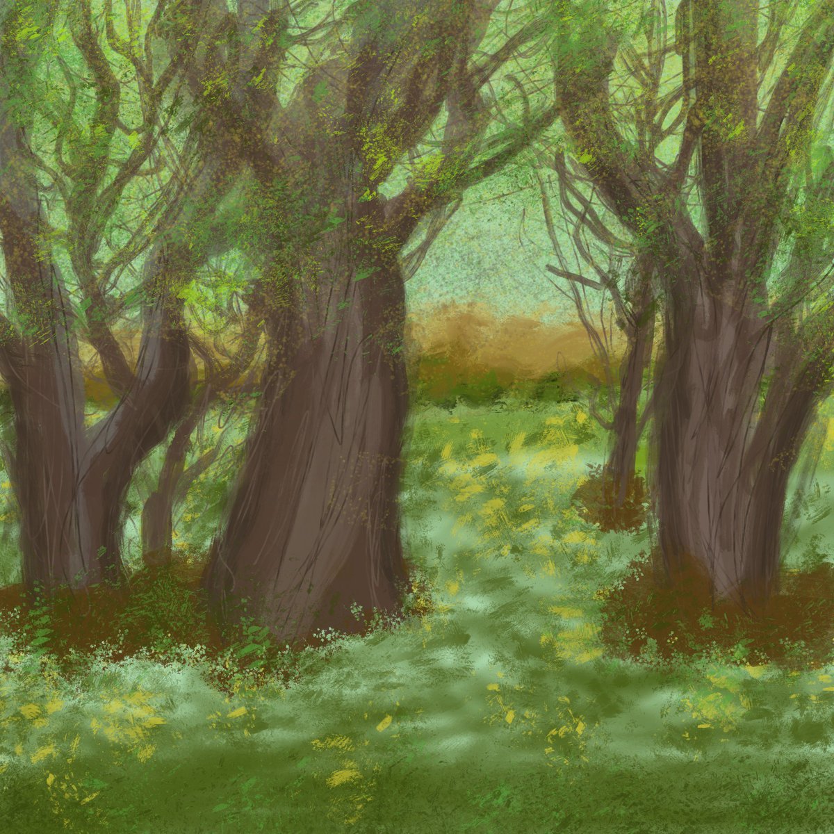 Katie Outlaw tweet media