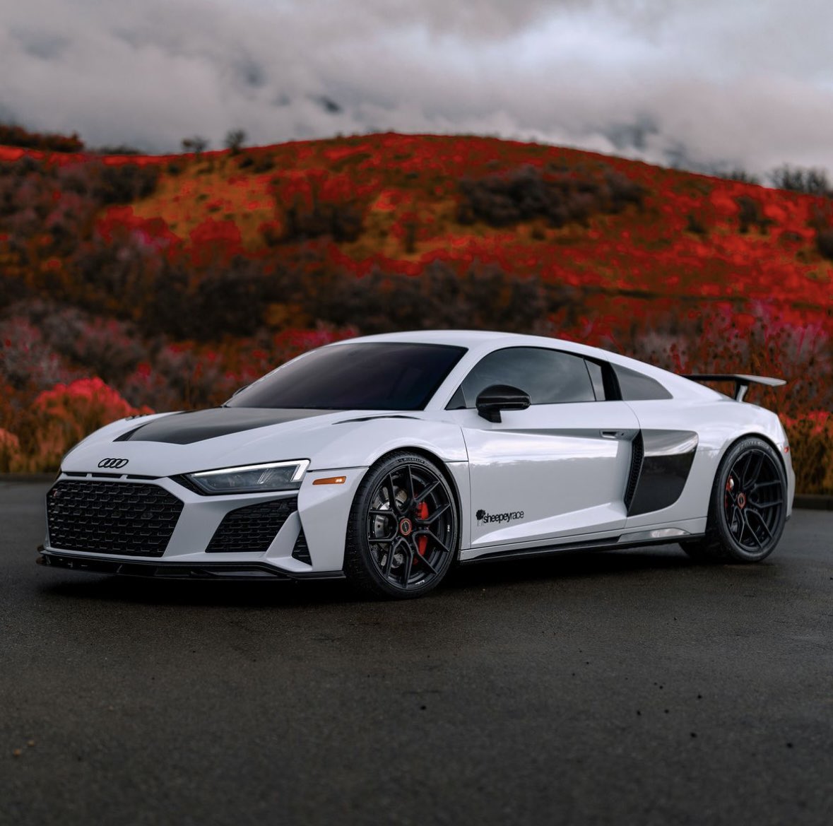80Eighty_nft's tweet image. Dream Car Giveaway #69 is Live! This
1300WHP Audi R8 + $60,000 could be yours!

80eighty.com