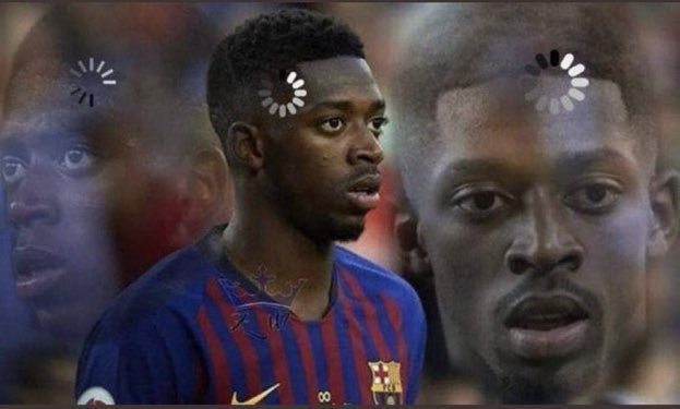 Julo 🦁 tweet media