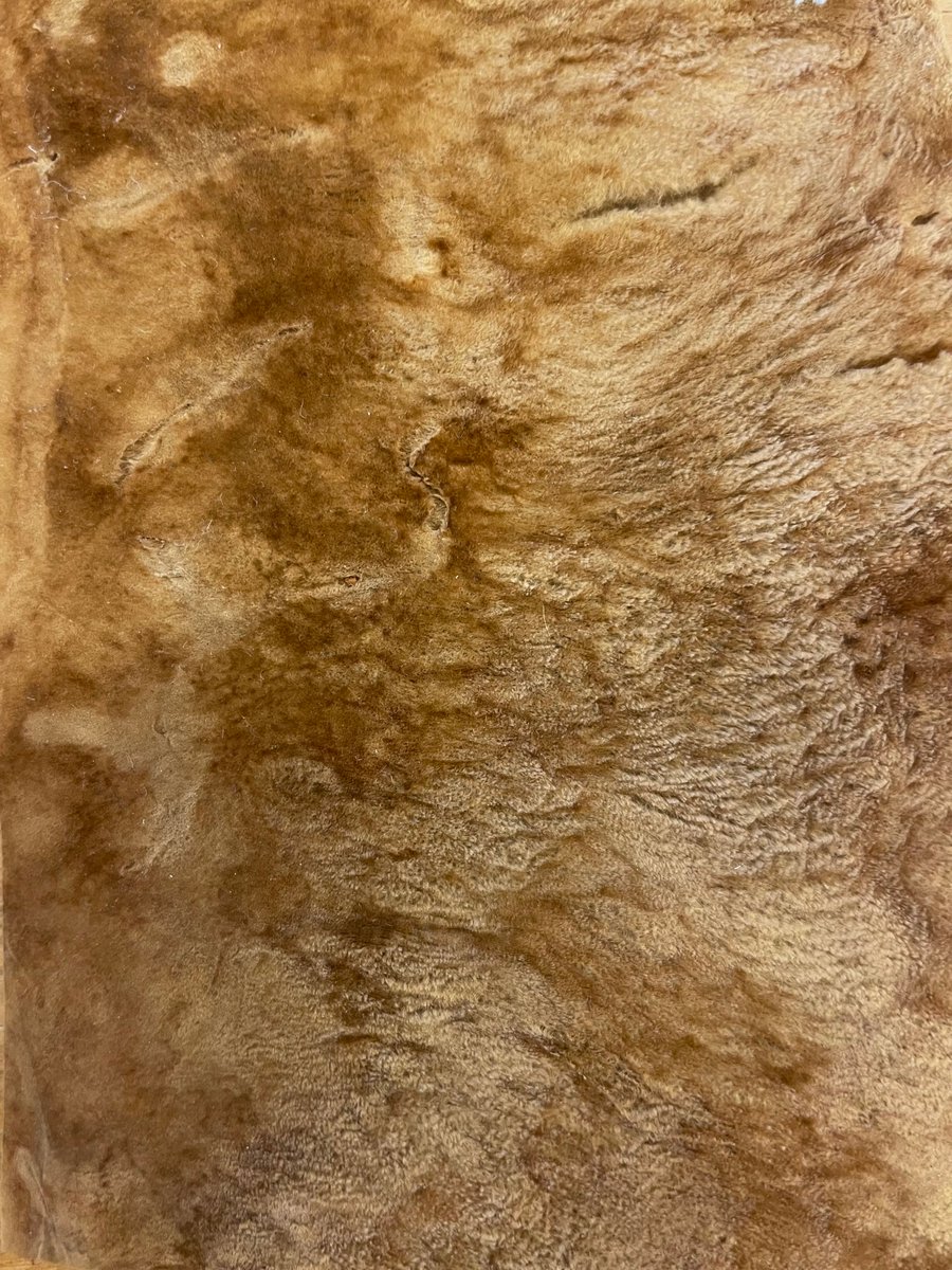 Ricker Library tweet media