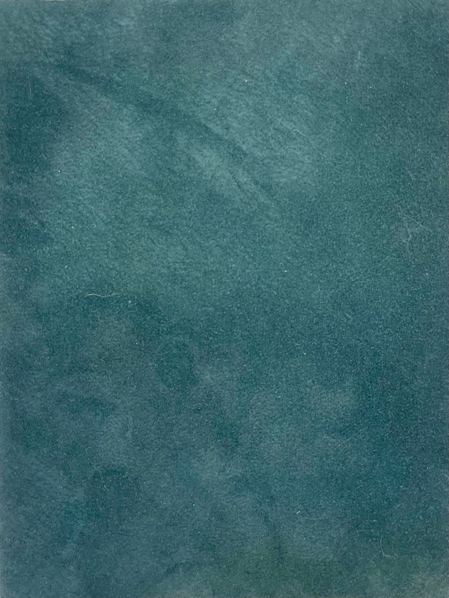 Ricker Library tweet media