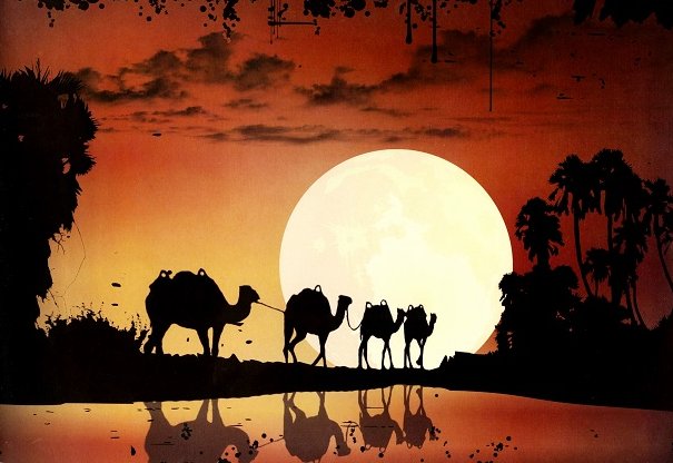 NeslekiEritrea's tweet image. #Eritrea: The camel keeps on marching, while the dogs keep on barking!