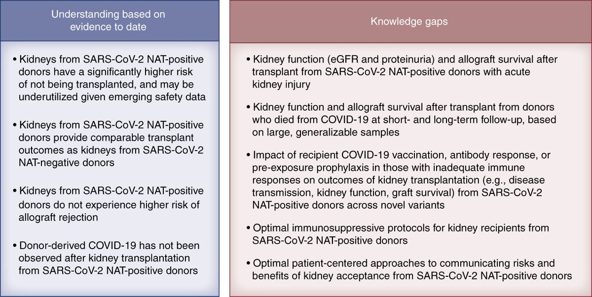 Kidneys from donors with COVID-19. See where we are now in the Nov editorial of @CJASN . Grateful for the collaboration with @KristaLentine . Great insight from patient voice. journals.lww.com/cjasn/fulltext…