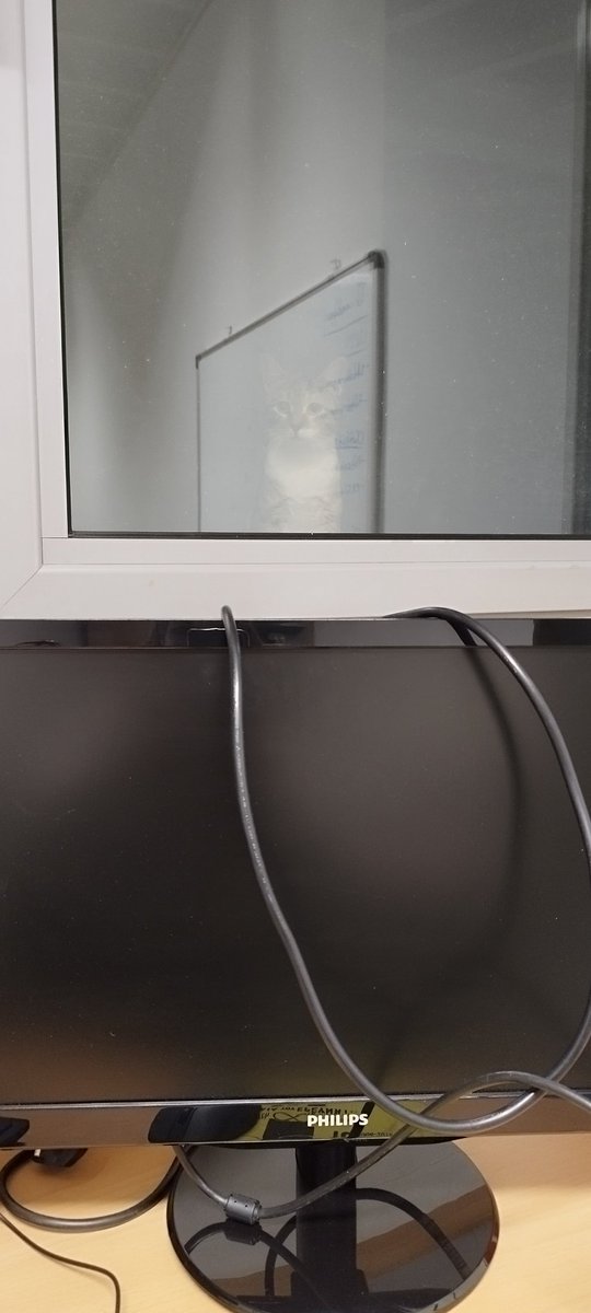 Άμα είσαι μόνος σου μέσα σε όλο το κτίριο στη δουλειά Παρασκευή νύχτα συγκεντρωμένος κ ξαφνικά κάποιος σου χτυπά το παράθυρο...χάνεις ένα χρόνο που τη ζωή σου 👻😅