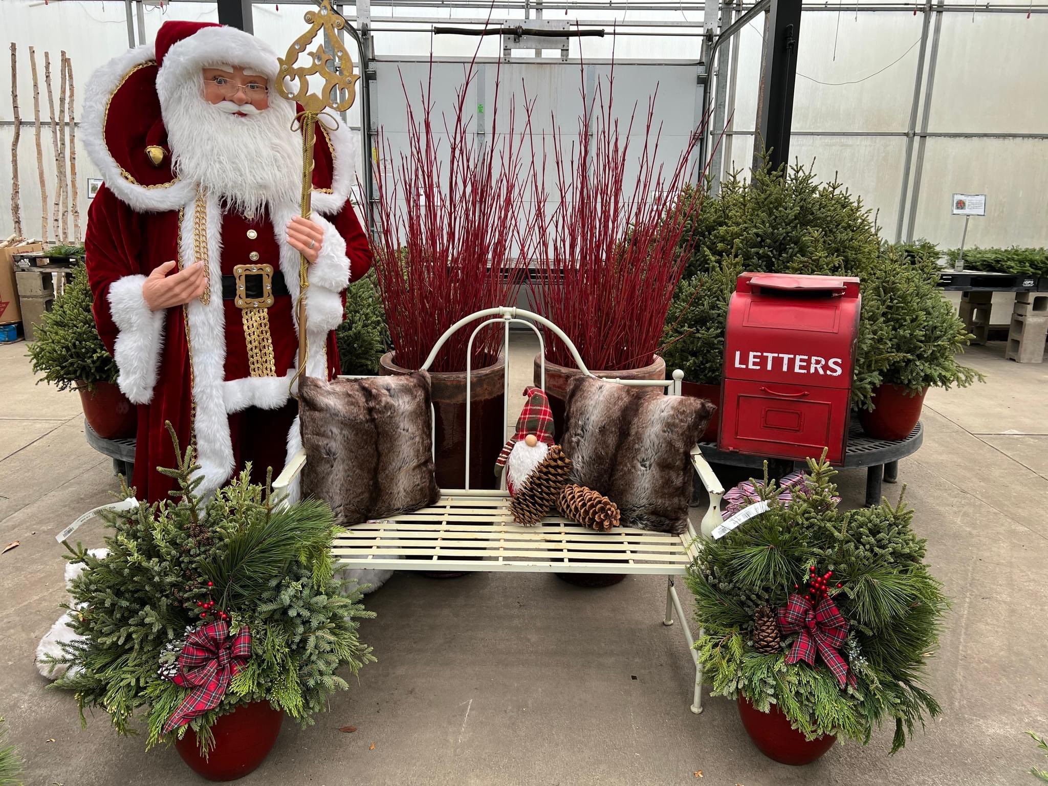 CHRISTMAS FLORAL DISPLAY - Pahl's Market - Apple Valley, MN
