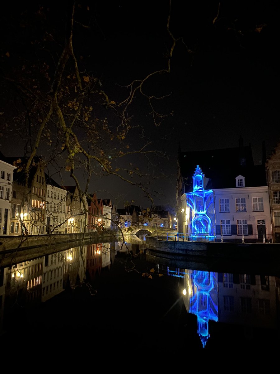 Lauɹa🐝 tweet media