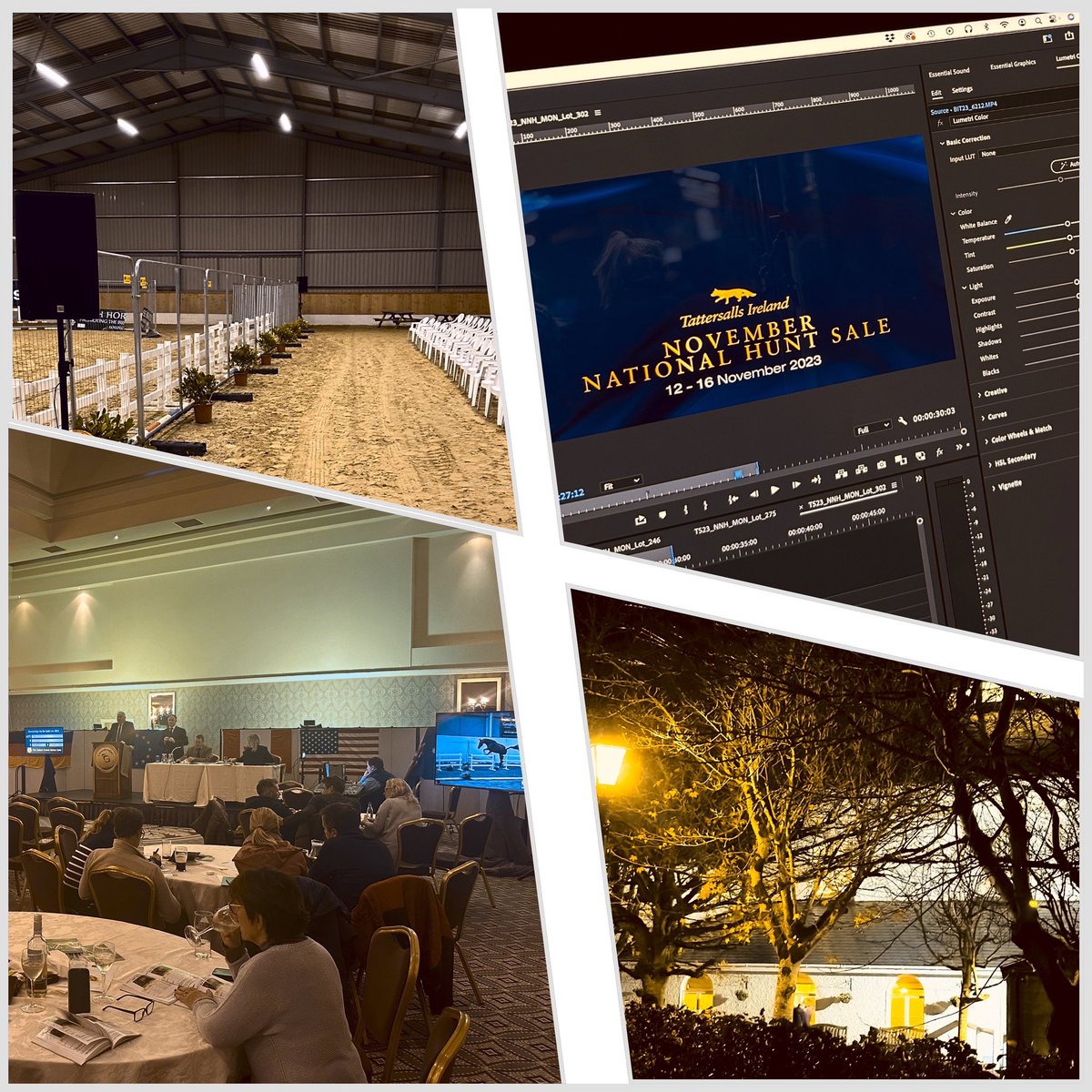 Wrapping up a busy week for the #BitMedia team providing #video content, #livestreaming & auction support for @Tattersalls_ie & @Goresbridgesale #GoforGold. Our content has generated almost 1.1m views to date, many thanks to all vendors and purchasers for their co-operation!