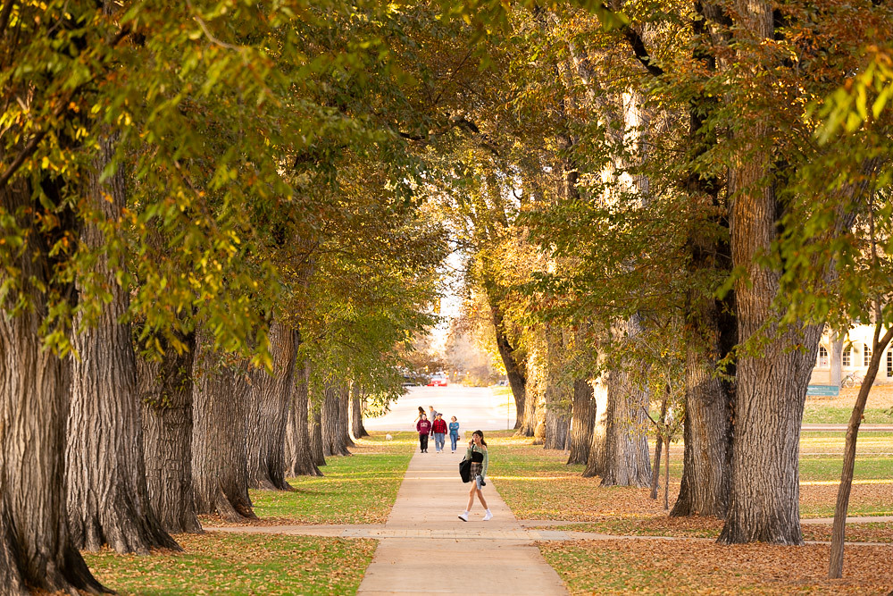 CSUSystem's tweet image. To everyone across the #CSUSystem, have a restful and rejuvenating fall break 🍂