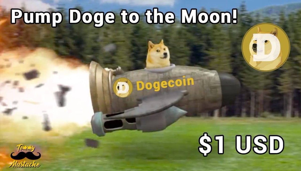 I have a gut feeling $DOGE is about to pump in the next few days. Get a bag today just in case! It is trading at $.08 cents and moving up slowly for the past 3 days now.