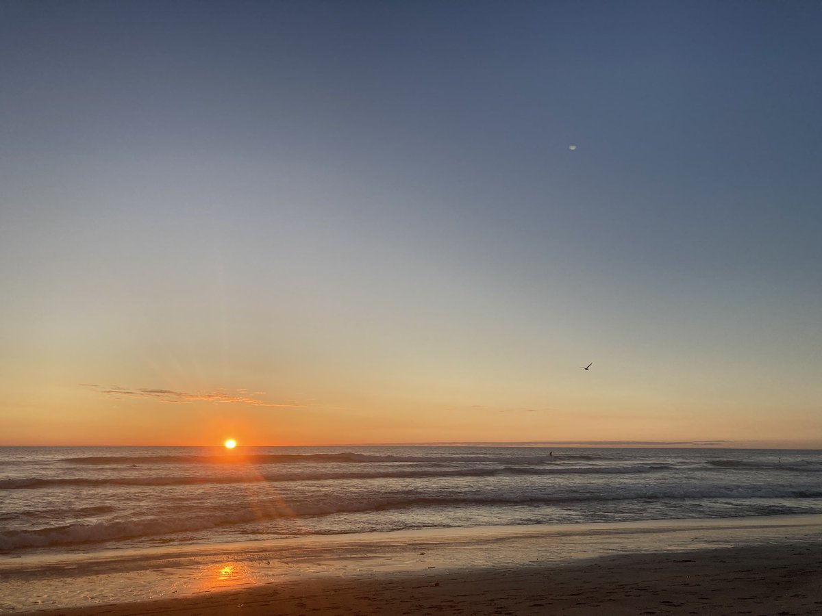 Really hard to tell, this meeting simply had it all. I will go with the interactions with many new and familiar faces, and the much time spent together, from sunsets till chilly evenings!
I feel grateful and lucky to be a part of this whole ❤️