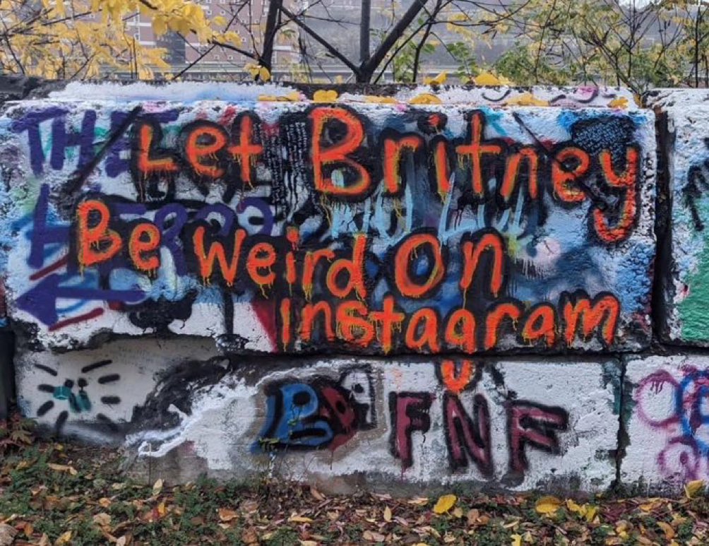 KingSpears tweet media