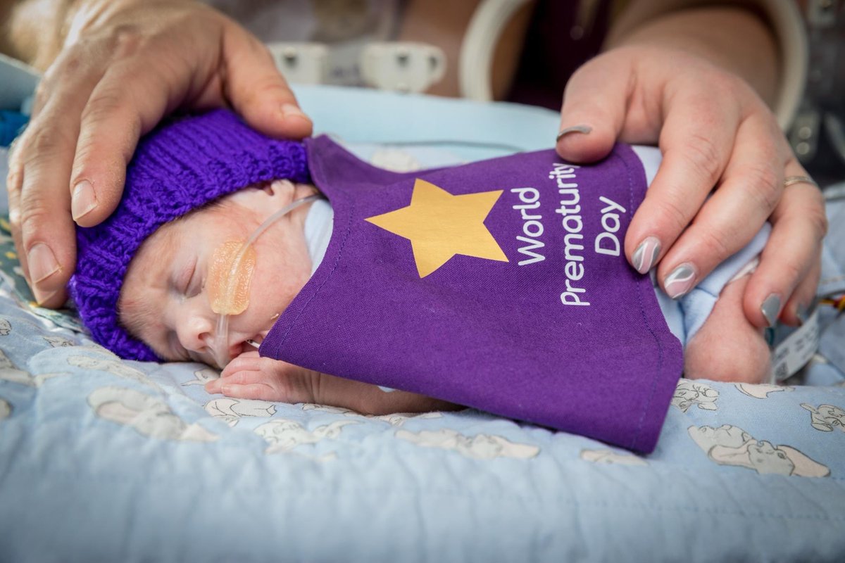 LittleRooFund tweet media