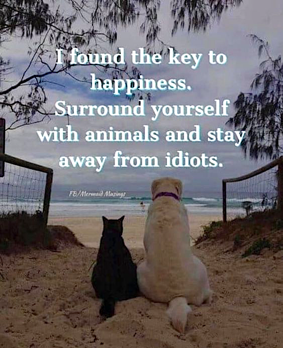 Happy (belayed) #FollowBackFriday