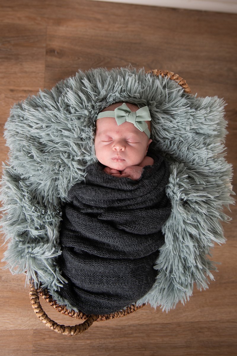 jacquelynnbuck's tweet photo. Peacefully sleeping https://t.co/rgQgUUHTz5