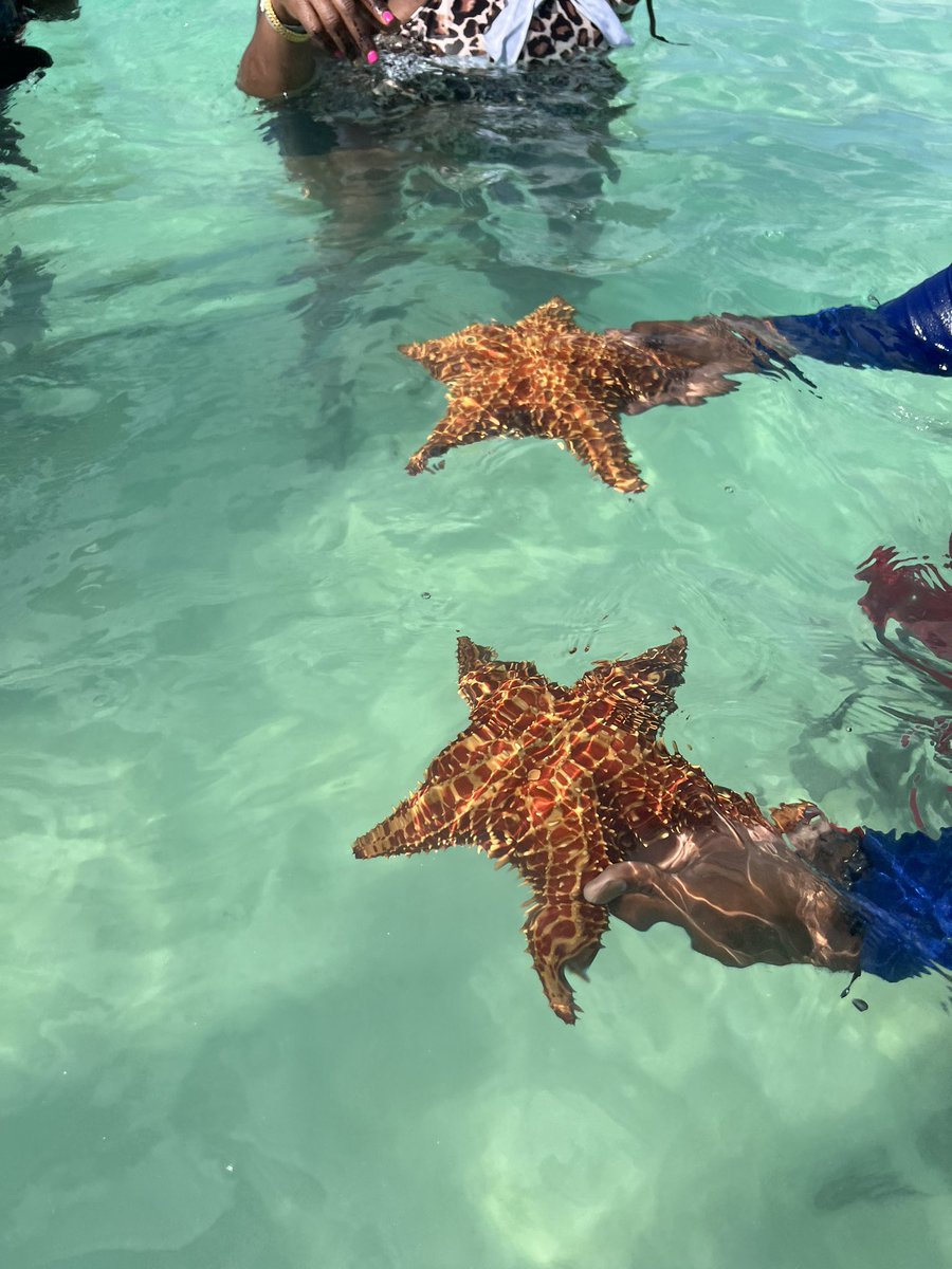 Postcard from paradise 🥥🌴