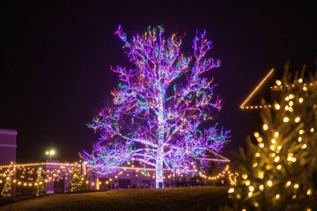TheCrossingCoMo's tweet photo. ONE week from today! Join us for the #CrossingMagicTree lighting on Friday, Nov. 24th. 

⏰ Come in time to countdown with us before it lights up at 5:30pm! https://t.co/SeC5UPHZmk