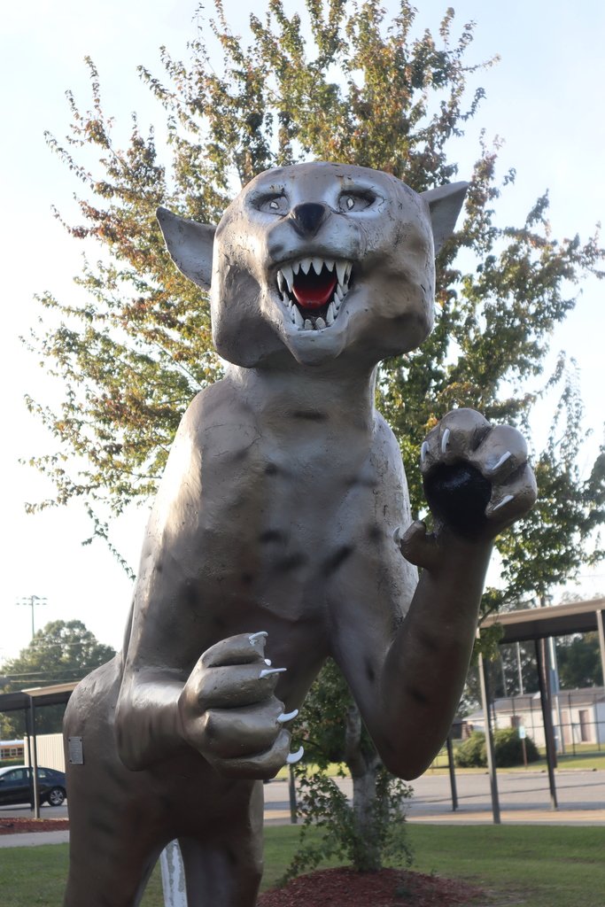 DoolyAcademy's tweet photo. Dooly County Bobcats vs Jenkins County War Eagles - GHSA Football Round 2 - TONIGHT!!!   You still have time to make it!!  Meet us at The GROVE @ Dooly County High School!!  It's STILL Football Friday in Vienna, GA! https://t.co/ZVID6qhdpQ