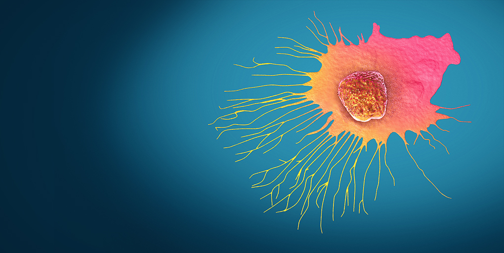 Cancer Discovery tweet media
