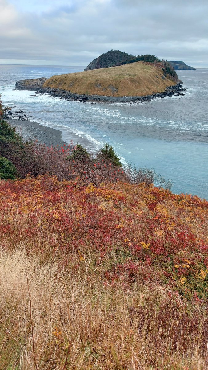 Tors Cove looking gorgeous in the fall.

We're open Thursday - Monday, 10:30am - 5pm, if you want to stop into our cozy shop to pick up a new book or get a head-start on your Christmas shopping after admiring the colours and coastline.

torscovebooks.com