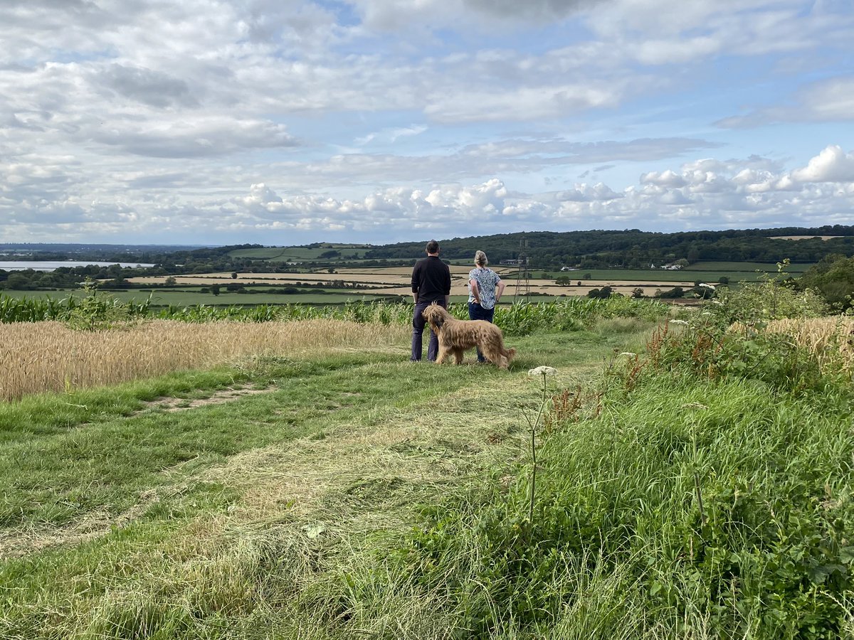 Ex_CPNeditor's tweet photo. Don’t miss the Forever Fields Exhibition of artworks recording and celebrating the Oxfordshire fields that developers Botley West want to cover with hundreds of acres of solar panels. Photos show the fields between Wytham Woods and Farmoor reservoir, taken from Cumnor. https://t.co/tzXjjDAFxn