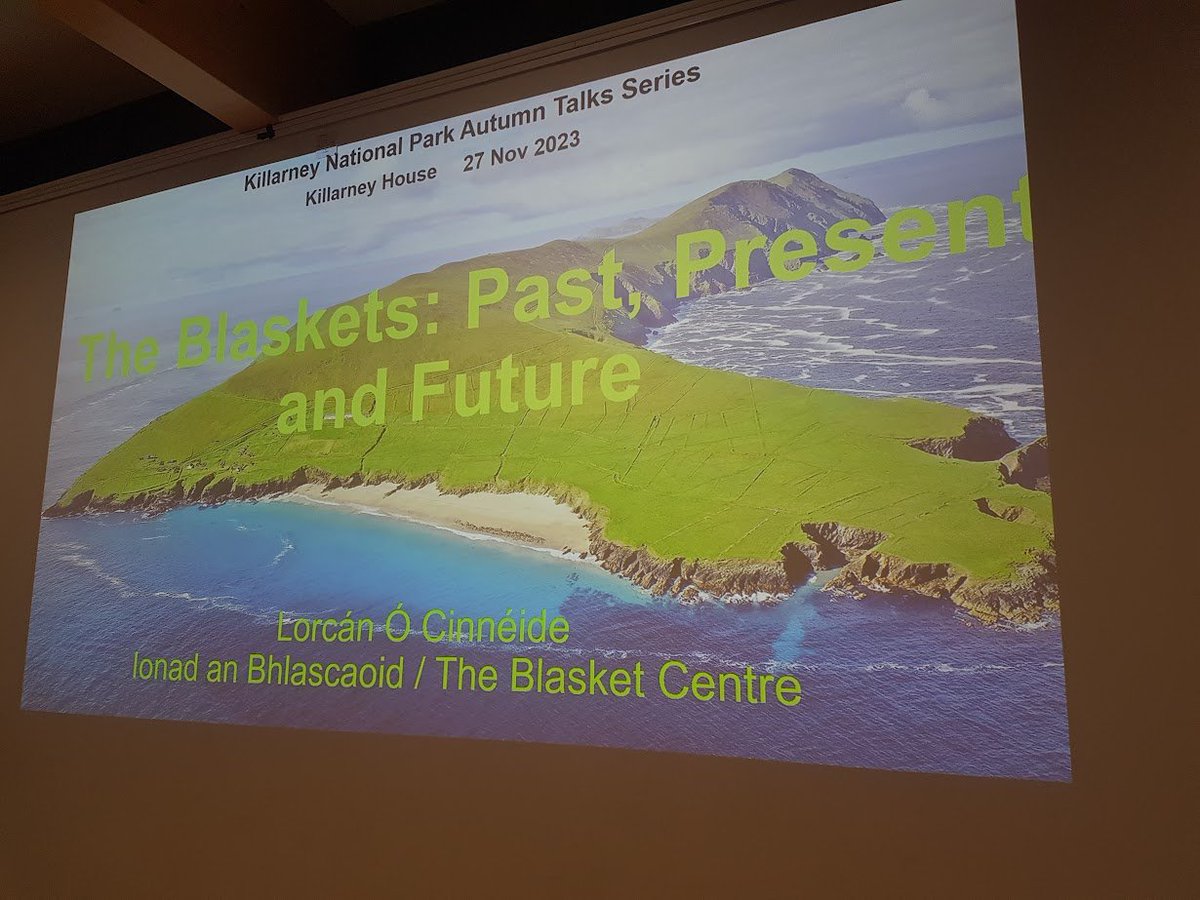 Jessica Hamilton tweet media