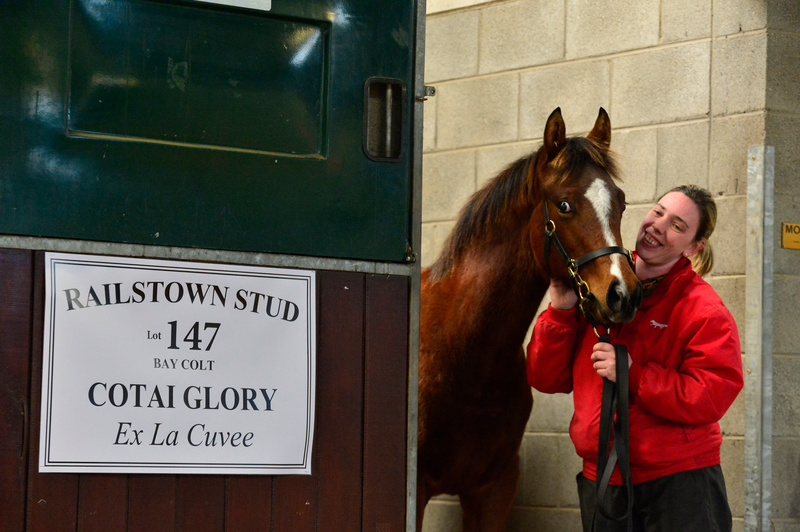 Racing Post Bloodstock tweet media