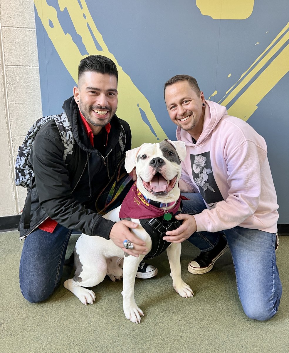 AntiCruelty's tweet photo. 🎉 Elvis has LEFT the building! 🎉

His adopters had been waiting for the right time to welcome a dog into their family and once they saw Elvis on the news, they couldn't deny that it was fate!

"When no one else wanted him, we found him. We're all a bunch of misfits" -Drew https://t.co/XsqaxRE0yn