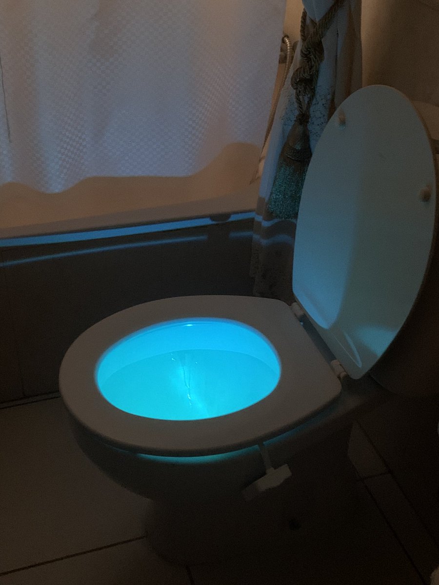 My mum has lights in her toilet. I’m an occupational therapist and did not know this was a thing! She loves it as hates turning on bright light in night.