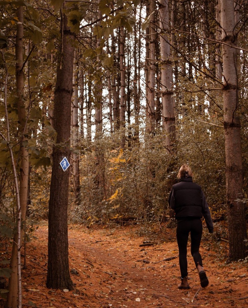 Skybound Perspectives tweet media