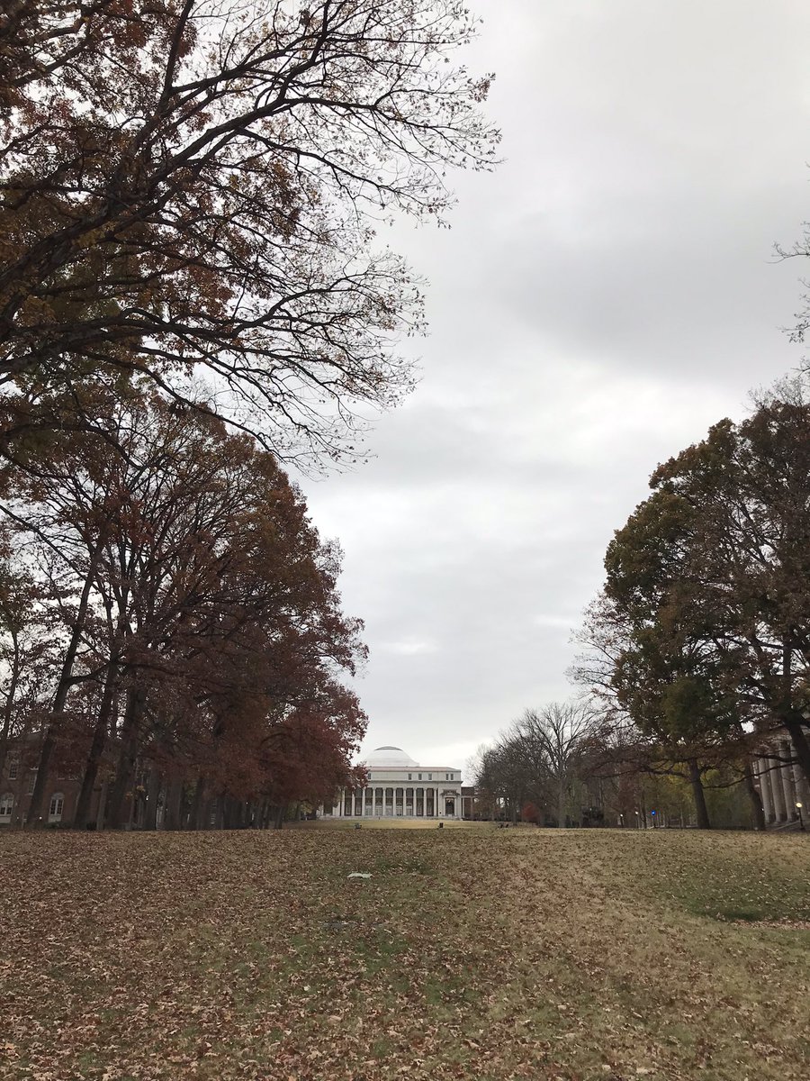 Lisa Ward, Ed.D. tweet media