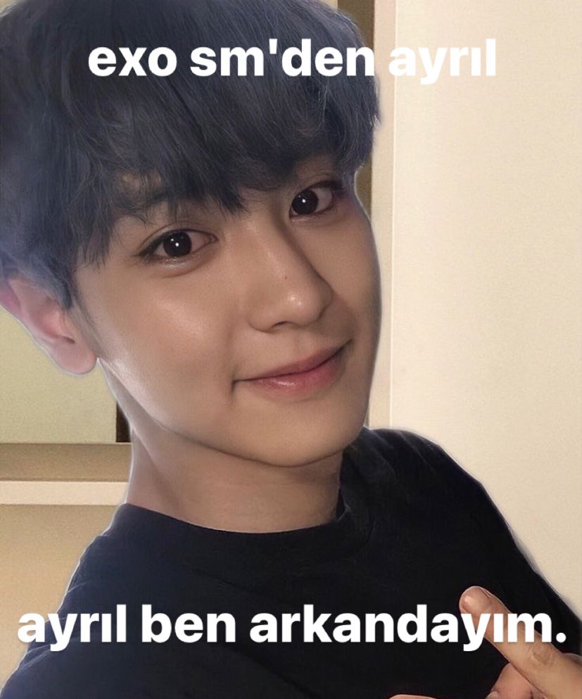 luvia (@bobohulovebot) on Twitter photo 