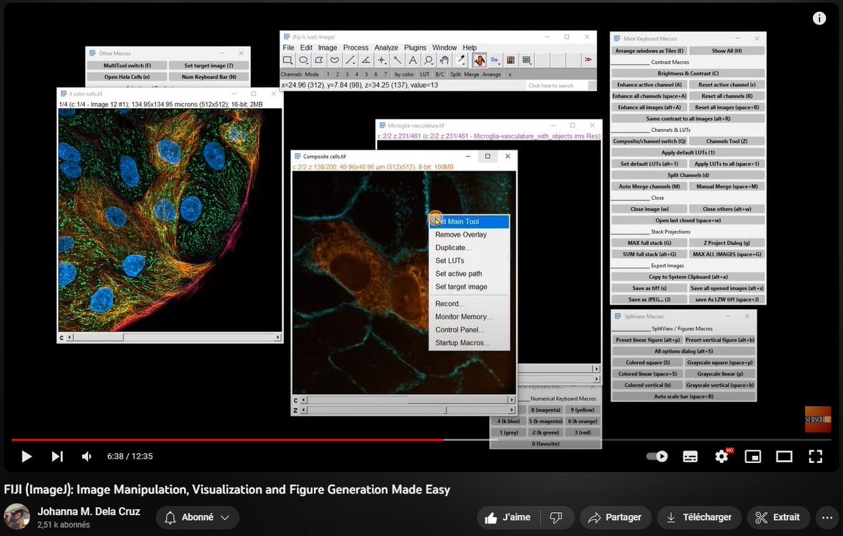 kWolbachia's tweet photo. I'm super glad @drjomayPhd has made a youtube video video tutorial presenting my Visualization Toolset for #imageJ  and #Fiji 🤩
Check it out there! : https://t.co/JT06yegEc9
and happy #FluorescenceFriday https://t.co/MNqEJ59QzK