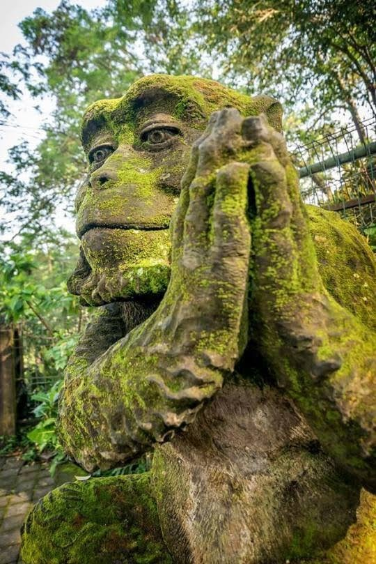 HarmonicCurator's tweet photo. Peace be upon you. https://t.co/lQ6Q4OgESj