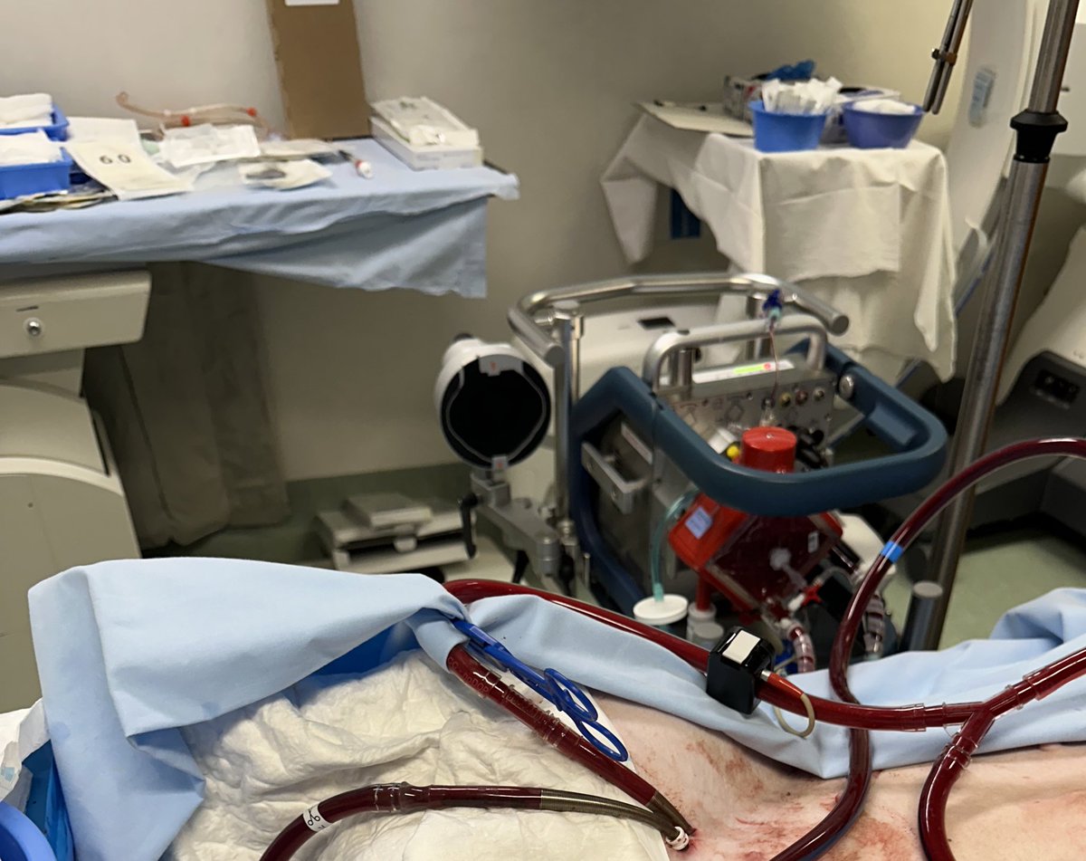 Eduard Argudo tweet media