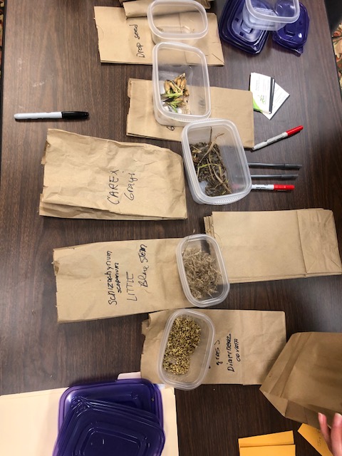 Sag Moraine 2nd Annual Seed Exchange!

Recently, we held a seed exchange at Prairie Trails Library! It was such a wonderful opportunity to see everyone and spread native seeds, share ideas, and ask questions!

#SeedExchange #NativePlants #InPersonEvent #Gardening #Landscaping