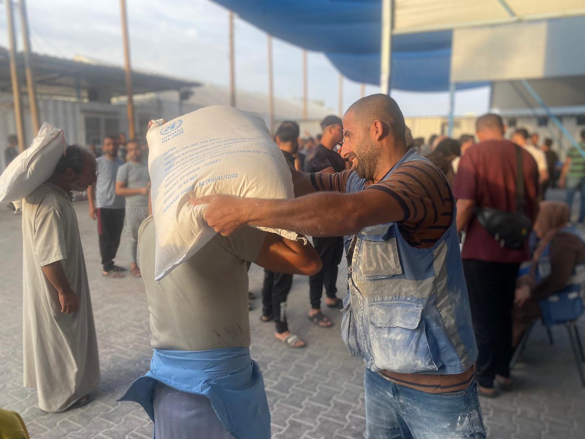 lisataraki's tweet photo. With current supplies we're only meeting 39% of food needs in our shelters in📍#Gaza
Despite being exhausted, overwhelmed and displaced -our colleagues continue to work around the clock, delivering flour to families directly. So far over 70,000 families have received flour. https://t.co/RKytcBo2hS