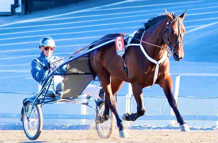 ViljamiHarmala's tweet photo. Tänään syttyi taivaalle uusi tähti. Kiitos Upi ♥️ #ravit #updatehoss https://t.co/Sunjccnjyh