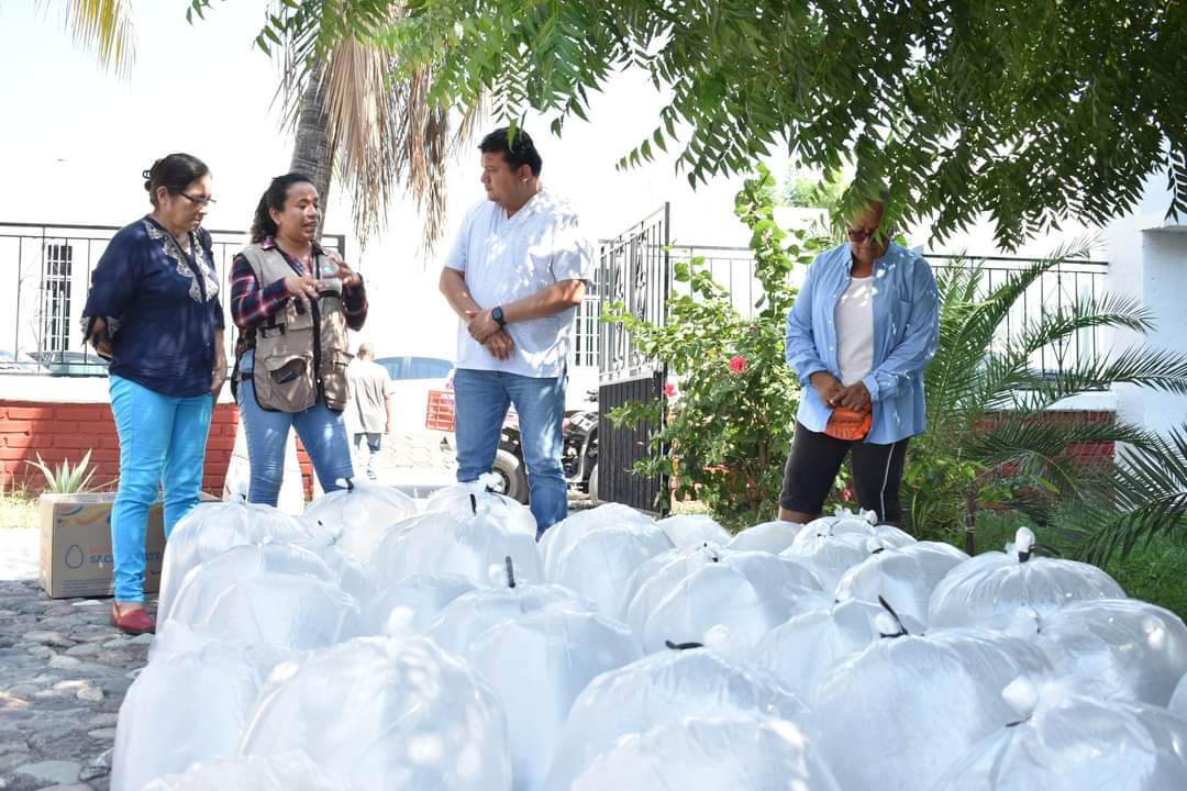 COMPESCA_'s tweet photo. Sembramos 38 mil crías de tilapia en Nueva Italia, Municipio de Múgica.
En compañía de Hugo Wulfrano Andrade López, Presidente de Municipio de Múgica trabajamos en conjunto para impulsar la acuacultura de este municipio. 🐟💧
#HonestidadyTrabajo https://t.co/Ifm95WYW5V