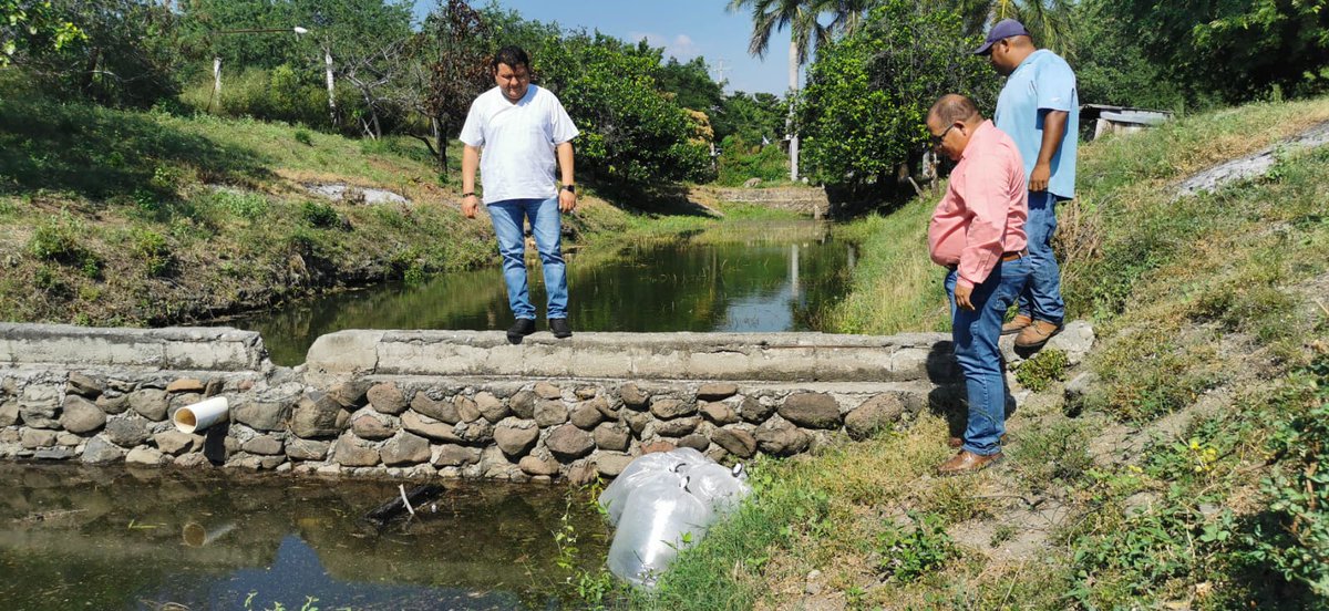 COMPESCA_'s tweet photo. Sembramos 38 mil crías de tilapia en Nueva Italia, Municipio de Múgica.
En compañía de Hugo Wulfrano Andrade López, Presidente de Municipio de Múgica trabajamos en conjunto para impulsar la acuacultura de este municipio. 🐟💧
#HonestidadyTrabajo https://t.co/Ifm95WYW5V