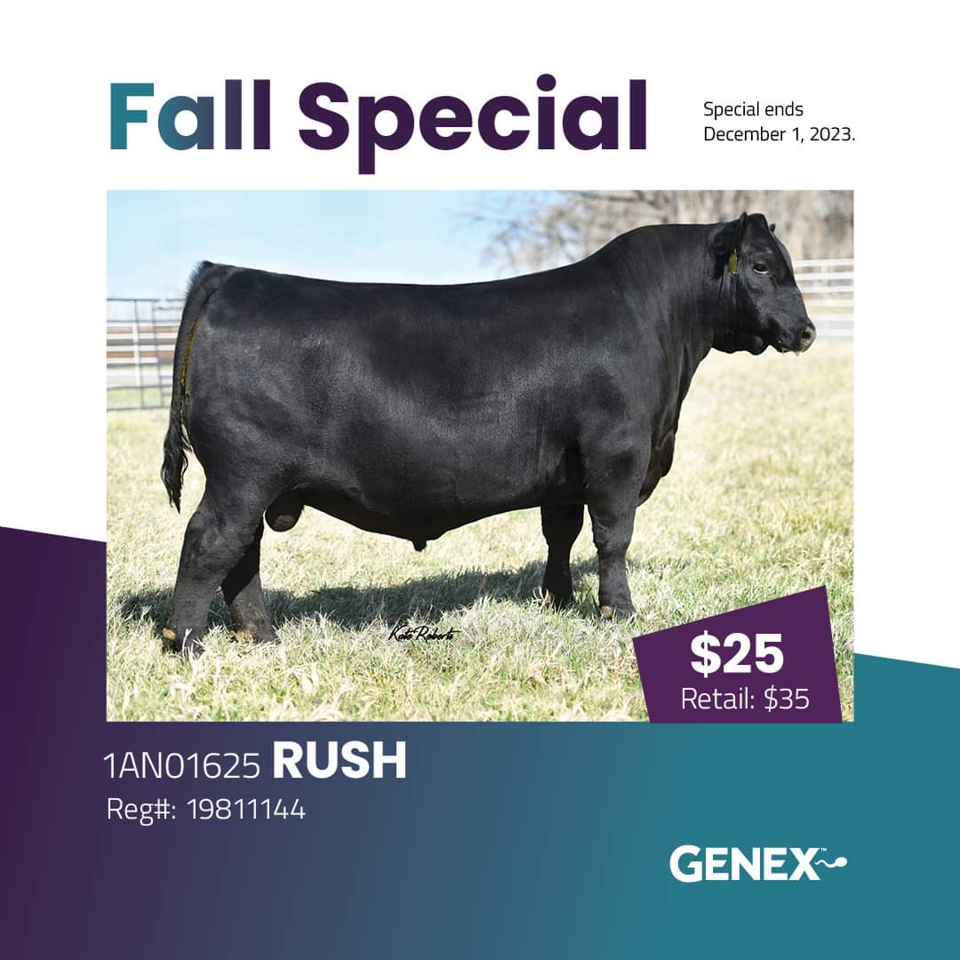 Genex Canada Beef tweet media
