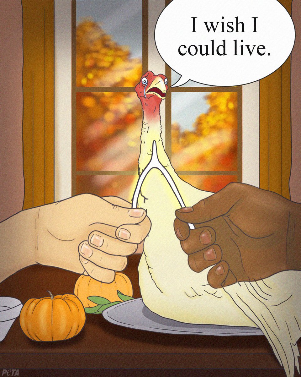 Let them have their wish & their wishbone — leave turkeys off your plate this #Thanksgiving.