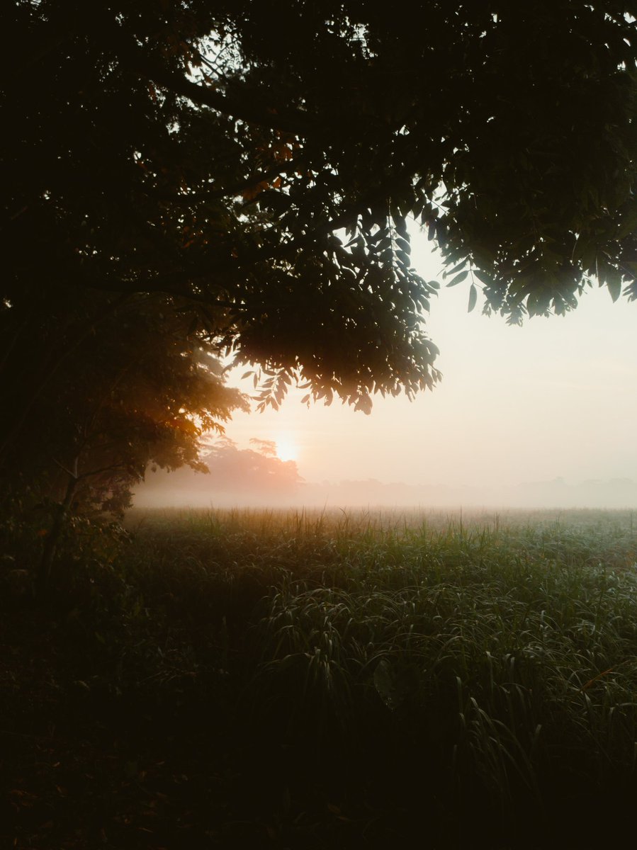 _Sifatt_'s tweet photo. @Lightroom Foggy winter morning 🌄 https://t.co/lmGdCZI4M5
