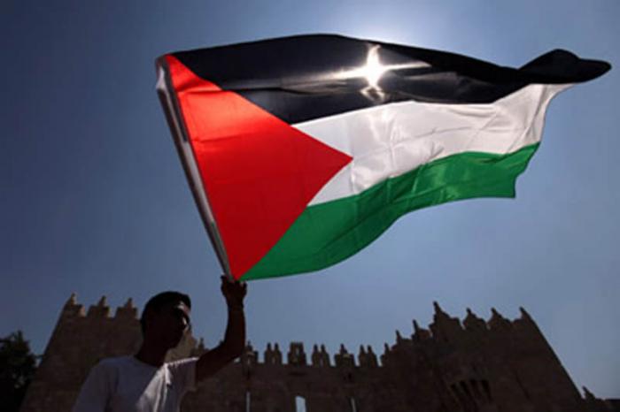 ¡Free, free Palestine!
¡Viva la resistencia del pueblo palestino!
¡Cese al fuego, ya!